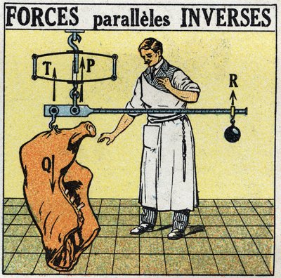 Krachten: omgekeerde parallelle krachten. Een slager die een vleescarcass weegt met een Romeinse weegschaal. Anonieme illustratie uit 1925. Privécollectie. door Anonymous Anonymous