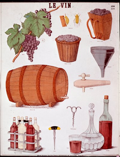 Illustratie van de kunst van het wijnmaken en oenologie: druif, trechter, kaneel, mand en extractor, wijnstuk, kurkentrekkers, fles, karaf, boor en wijnkist door Anonymous Anonymous