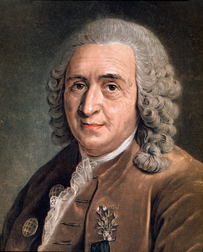 Portret van Charles Linnaeus (Carl von Linné, Linnaeus 1707 - 1778), Zweedse natuuronderzoeker. Anoniem schilderij. 18e eeuw door Anonymous Anonymous