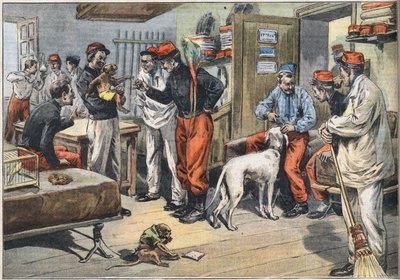 Terugkeer uit Afrika van de Franse leger soldaten gestuurd naar Tunesië. Gravure uit de krant 