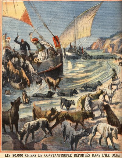 De 80.000 zwerfhonden van Constantinopel (Istanbul, Turkije) vertrekken naar het eiland Oxias. Gravure in 