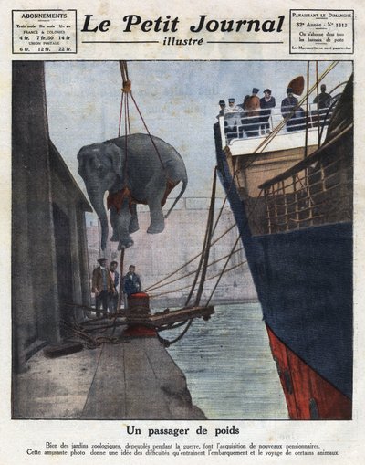 De aankomst per boot van een olifant verworven door een dierentuin na de oorlog. Illustratie uit 