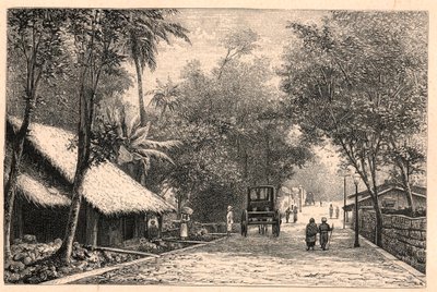 Zicht op een straat in Colombo in Ceylon (Sri Lanka). Gravure in 