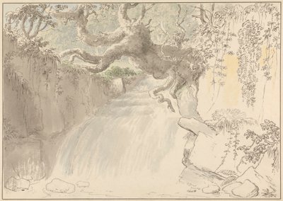 Waterval en boomstam door Anthony Devis