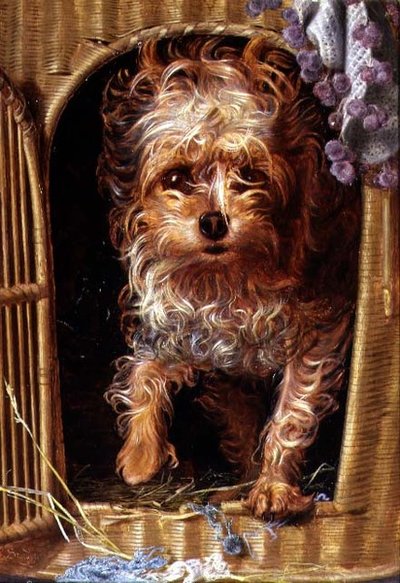 Darby, een Yorkshire Terrier door Anthony Frederick Augustus Sandys