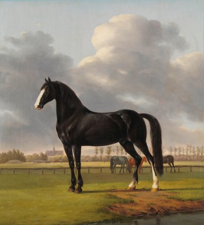 Adriaan van der Hoop’s Trotter ‘De Vlugge’ in een weide door Anthony Oberman