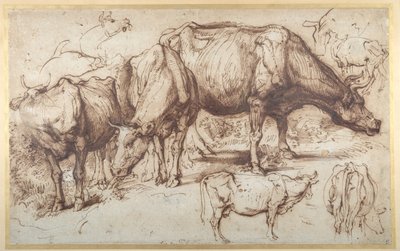 Vee in Weide, c.1618-20 door Anthony van Dyck