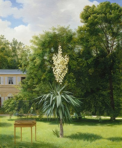 Een yucca-palm in het park van Neuilly door Antoine Chazal