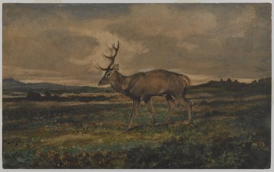 Hert Wandelt door Antoine Louis Barye