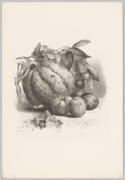 Pompoen, tomaten en kersen door Anton Weiss