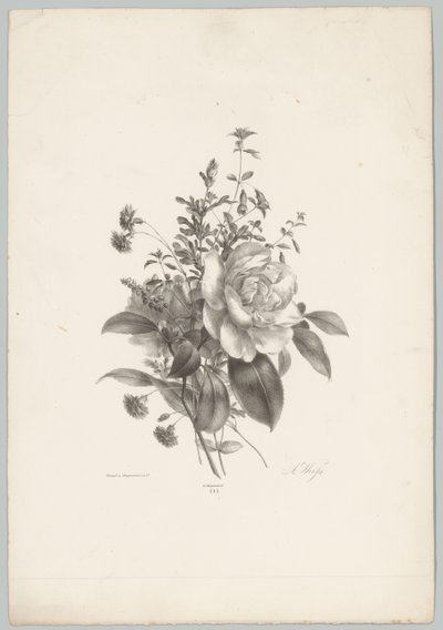 Rozen, anjers en fuchsia door Anton Weiss