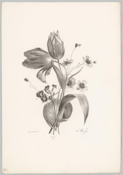 Tulpen en margrieten door Anton Weiss