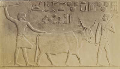 Heilige Stier in Saqqara door Antonio Beato