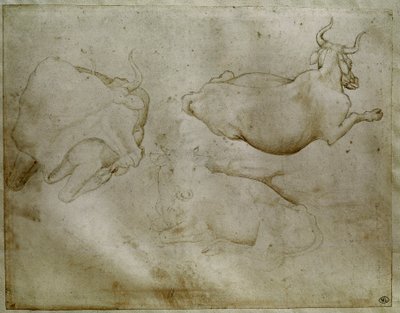 Twee koeien en een jeneverbes. Tekening door Antonio di Puccio Pisano, genaamd Pisanello door Antonio Pisanello