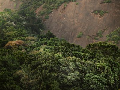 Corcovado XV, 2020 door Antonio Schubert