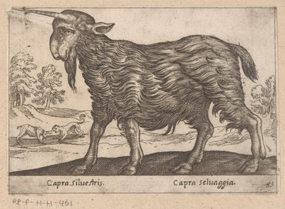 Geit met één hoorn (Dieren en fabelwezens, Nova raccolta de li animali piu curiosi del mondo) door Antonio Tempesta