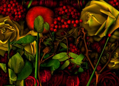  door Antonius Antonius