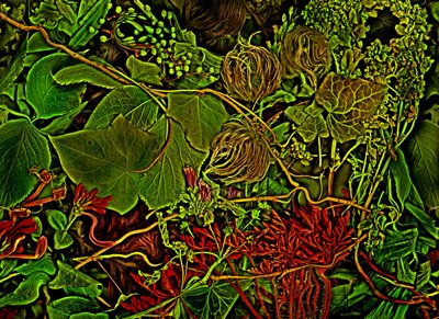  door Antonius Antonius