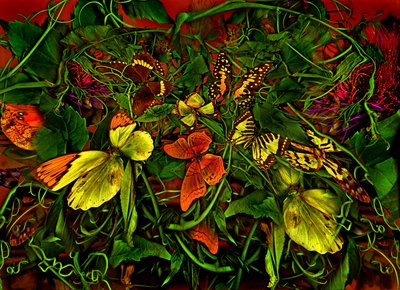  door Antonius Antonius