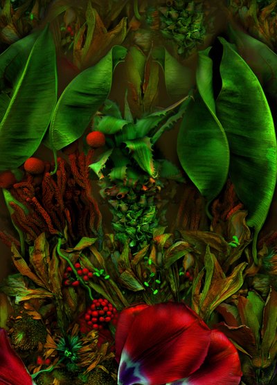  door Antonius Antonius