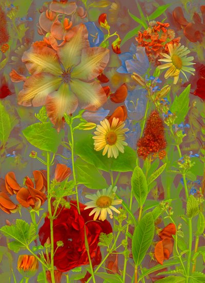  door Antonius Antonius