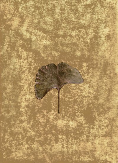 Ginkgo 3 door Antonius Antonius