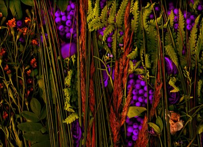  door Antonius Antonius