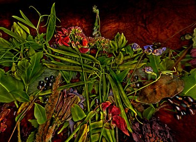  door Antonius Antonius