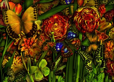  door Antonius Antonius