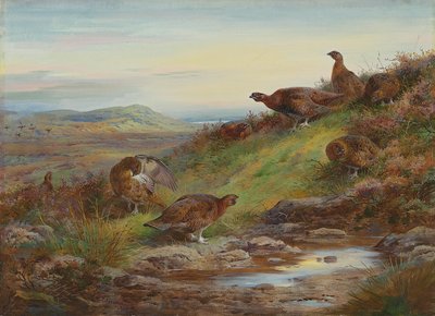Een koppel rode korhoenders bij een bron door Archibald Thorburn