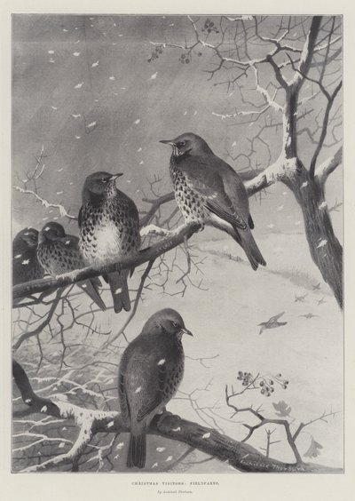 Kerstbezoekers, Kramsvogels door Archibald Thorburn