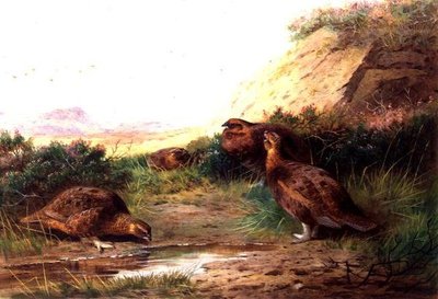 Korhoen in een landschap door Archibald Thorburn