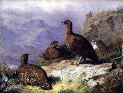 Rode patrijzen aan de oever van een meer door Archibald Thorburn