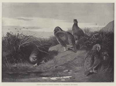 Sportonderwerpen, Dageraad op de twaalfde door Archibald Thorburn