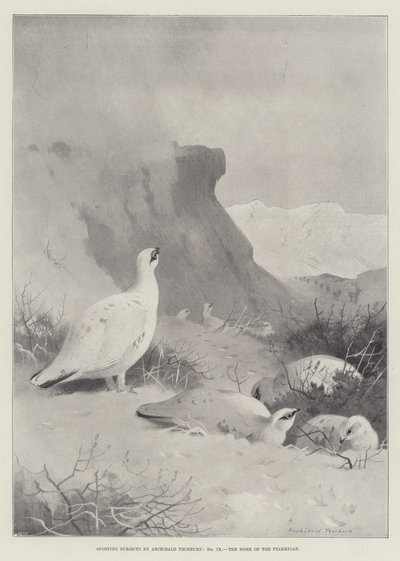 Sportonderwerpen, het huis van de sneeuwhoen door Archibald Thorburn