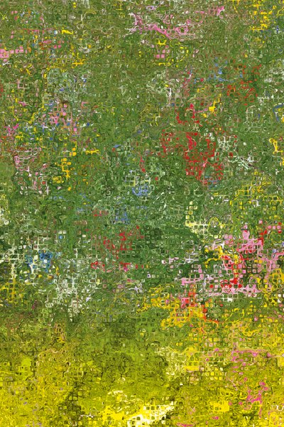 Bloemenweide door Armin Mumper
