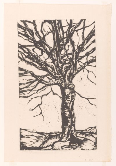 Kale boom door Arnold Pijpers (signed by artist)
