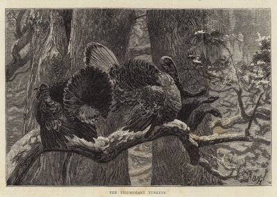 De Triomfantelijke Kalkoenen door Arthur Boyd Houghton