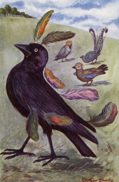Aesopus