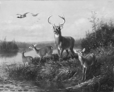 Op de Qui Vive, Bok en Drie Hinden, 1871 door Arthur Fitzwilliam Tait