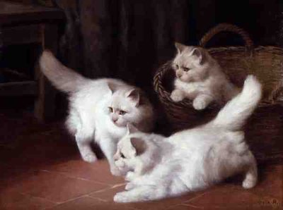 Drie witte Angora-kittens door Arthur Heyer