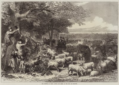 De verdediging van Parijs, vee en schapen in het Bois de Boulogne door Arthur Hopkins
