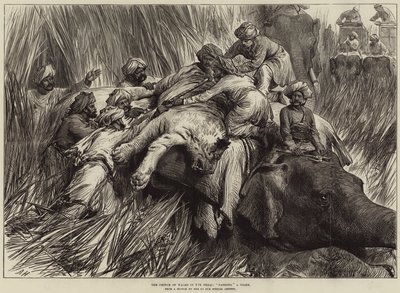 De Prins van Wales in de Terai, Een Tijger Vangen door Arthur Hopkins