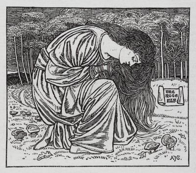 Hans Christian Andersen: De Rozenelf door Arthur Joseph Gaskin