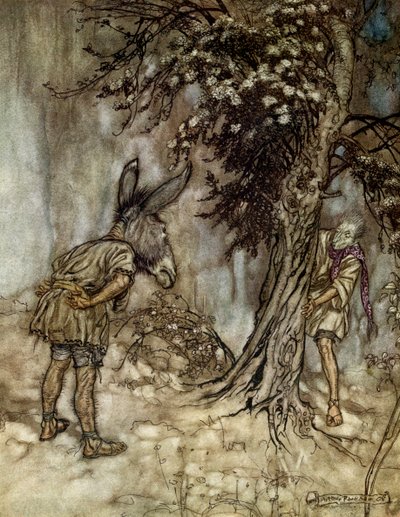 Een Midzomernachtsdroom door Arthur Rackham