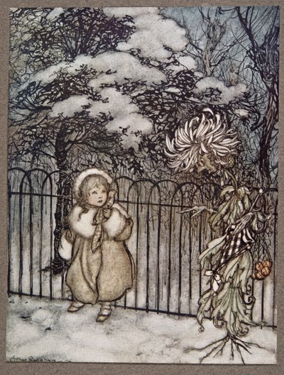 Een chrysant hoorde haar en zei nadrukkelijk, Hoity-toity, wat is dit?, uit Peter Pan in Kensington Gardens door J M Barrie (1860 - 1937), pub. 1906 door Arthur Rackham