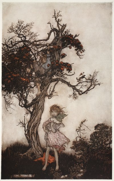 Zijn kinderen waren zo haveloos en wild alsof ze van niemand waren., uit Rip Van Winkle door Washington Irving, pub. 1910 door Arthur Rackham