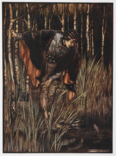 Illustratie van een jongeling bij een vijver uit De Witte Slang door Arthur Rackham