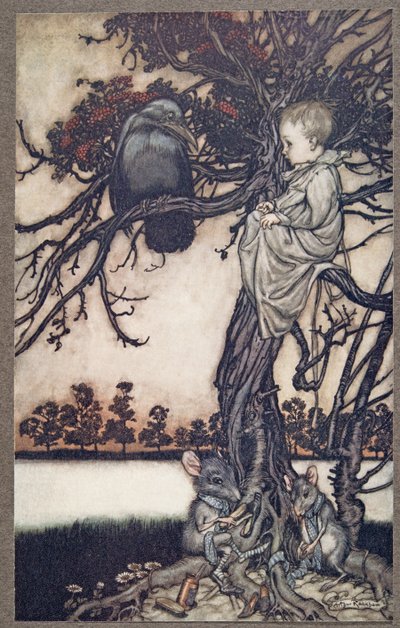 Legde zijn vreemde geval voor aan Oude Solomon Caw, uit Peter Pan in Kensington Gardens door J M Barrie (1860 - 1937), pub. 1906 door Arthur Rackham