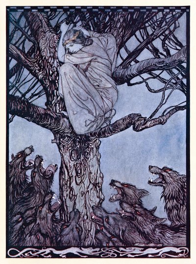 Ze keek met boze droefheid naar de gespannen en grommende horde beneden, uit The Wooing of Becfola in Irish Fairy Tales door Arthur Rackham